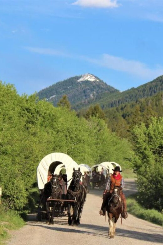Jackson: Chuck Wagon Cookout and Live Show - Who is This Tour Best For?