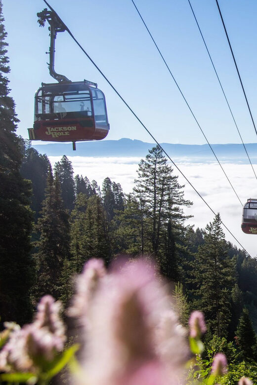 Jackson Hole: Aerial Tram and Gondolas Admission Ticket - Detailed Breakdown of the Itinerary