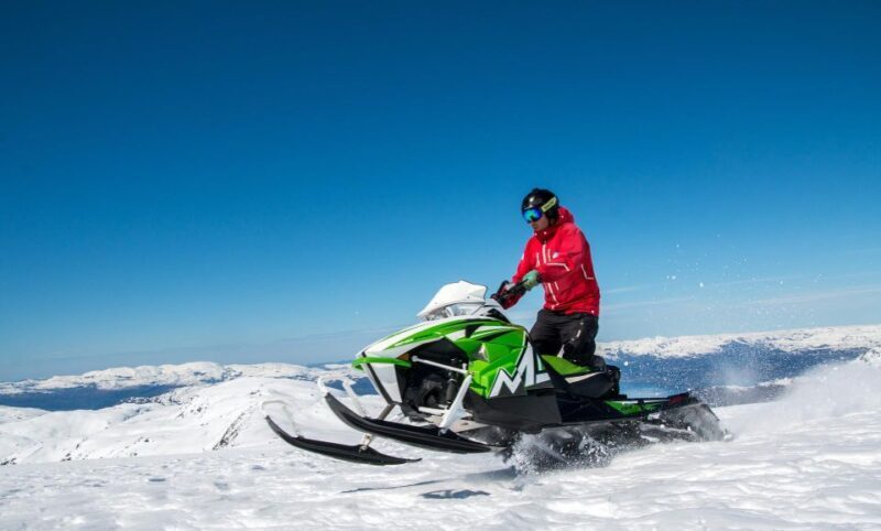 Jackson Hole: Bridger-Teton Guided Snowmobile Tour - Wildlife and Natural Beauty
