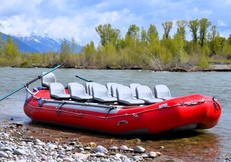 Jackson Hole: Comfortable Snake River Float Trip - What to Expect on the Snake River Float