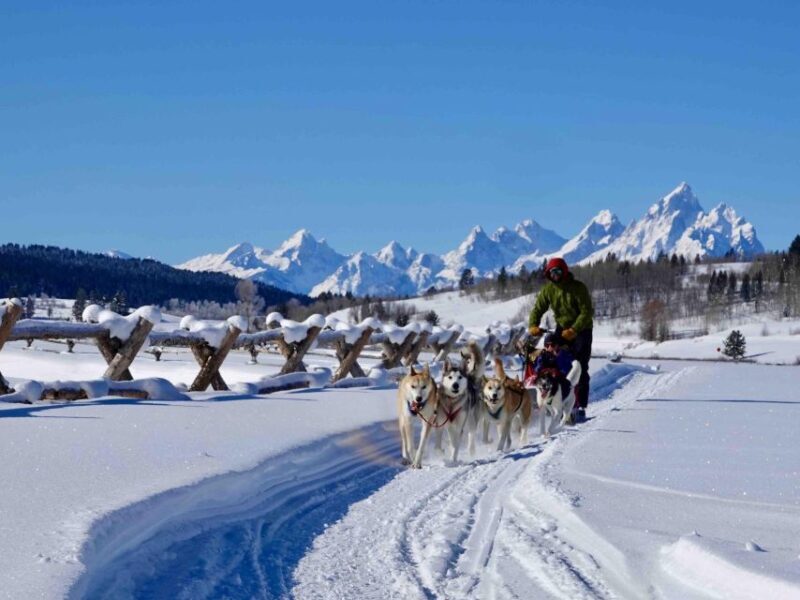 Jackson Hole: Dogsledding Tour with Hot Chocolate - Authenticity and Real Experiences