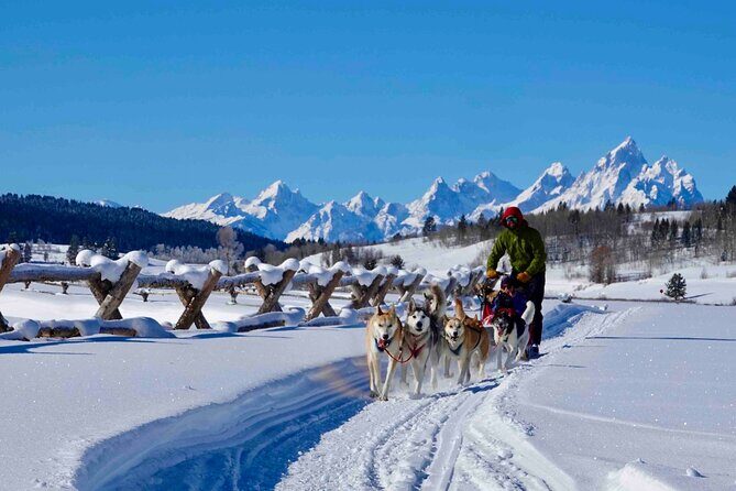 Jackson Hole Full-Day Dog Sledding and Snowmobiling Combo Trip - An In-Depth Look at the Tour Experience