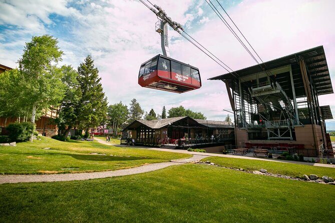 Jackson Hole Summer Aerial Tram Sightseeing - An Overview of the Experience