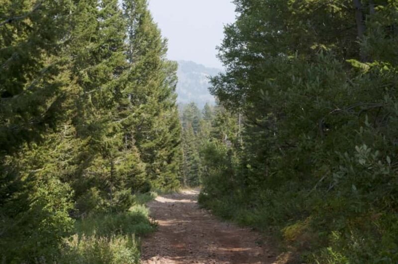 Jackson Hole: Teton Range ATV Tour with Picnic Lunch - Practical Tips for Your Trip