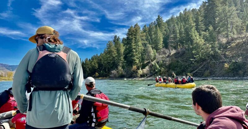 Jackson: Snake River Scenic Raft Float Tour with Teton Views - The Itinerary: What You Can Expect