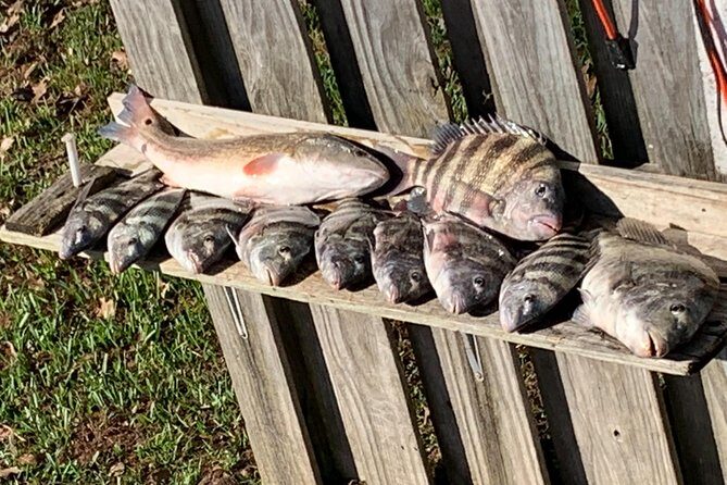 Jacksonville Fishing Charter-23' - What to Expect from Your Jacksonville Fishing Adventure