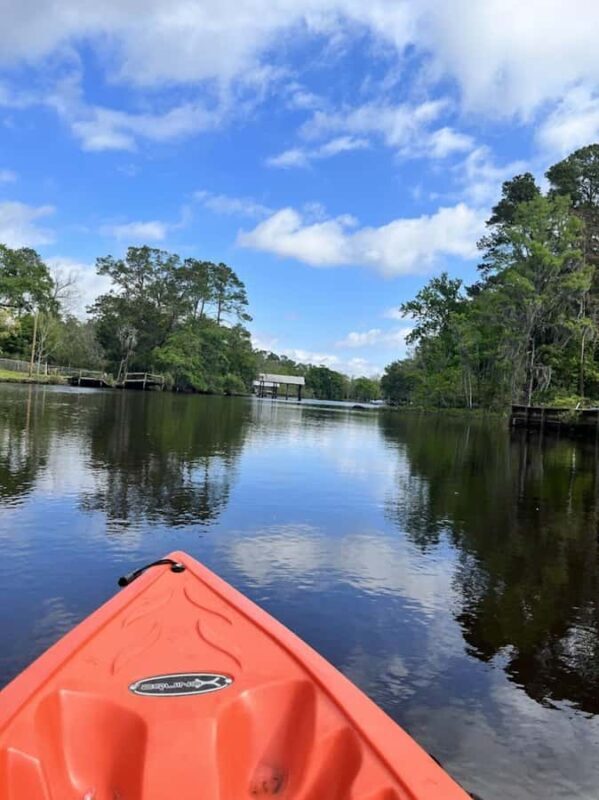 Jacksonville FL: Ortega River Kayak Rental Adventure - Wildlife and Ecosystems
