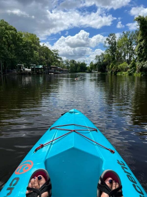 Jacksonville FL: Ortega River Paddle Board Excursion - Key Points