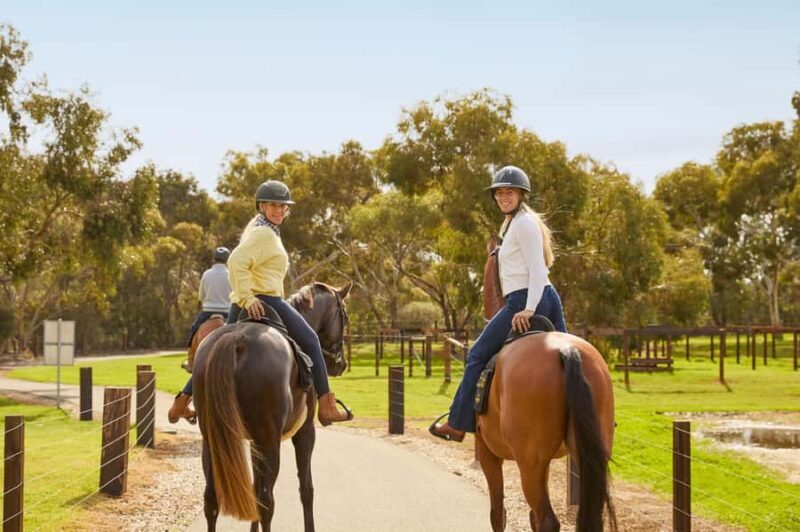 Jacobs Creek Vineyard Horse Ride and Tasting - Key Points