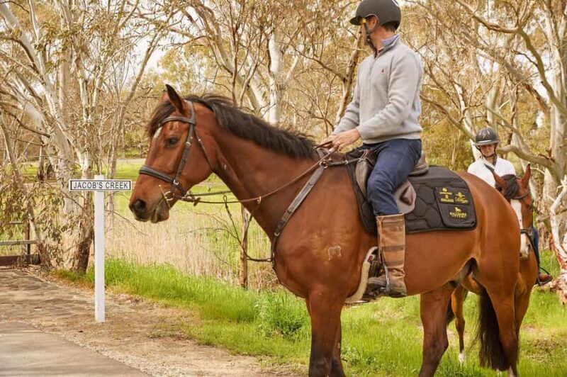 Jacobs Creek Vineyard Horse Ride and Tasting - Introduction: What’s the Experience All About?