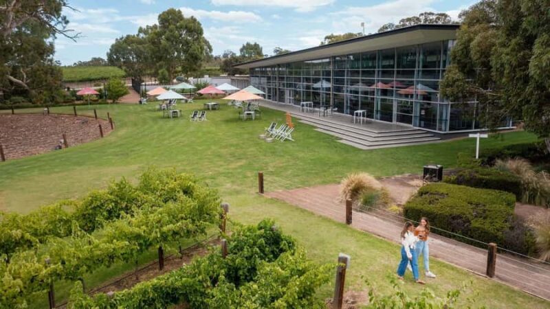 Jacobs Creek Vineyard Horse Ride and Tasting - Final Thoughts: Who Will Love This Experience?