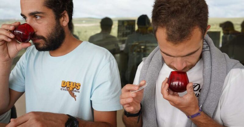 Jaén: Aires de Jaén Olive Oil Tasting Class - Key Points