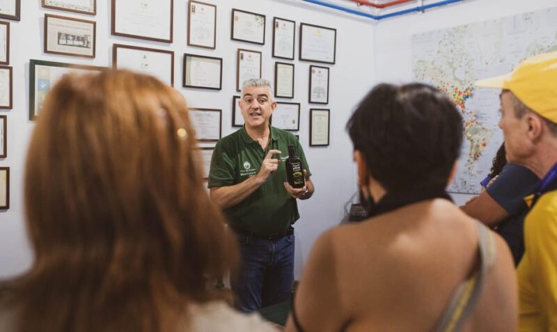 Jaén: Guided Olive Mill Tour with Olive Oil Tasting - Exploring the Jaén Guided Olive Mill Tour with Olive Oil Tasting