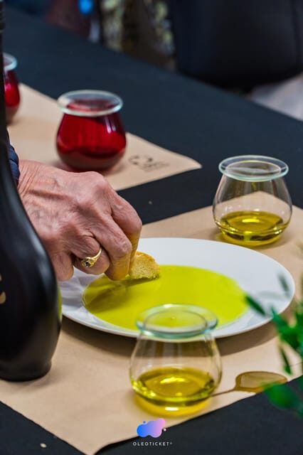 Jaén: Guided Olive Mill Tour with Olive Oil Tasting - What You Can Expect from Your Olive Oil Tour