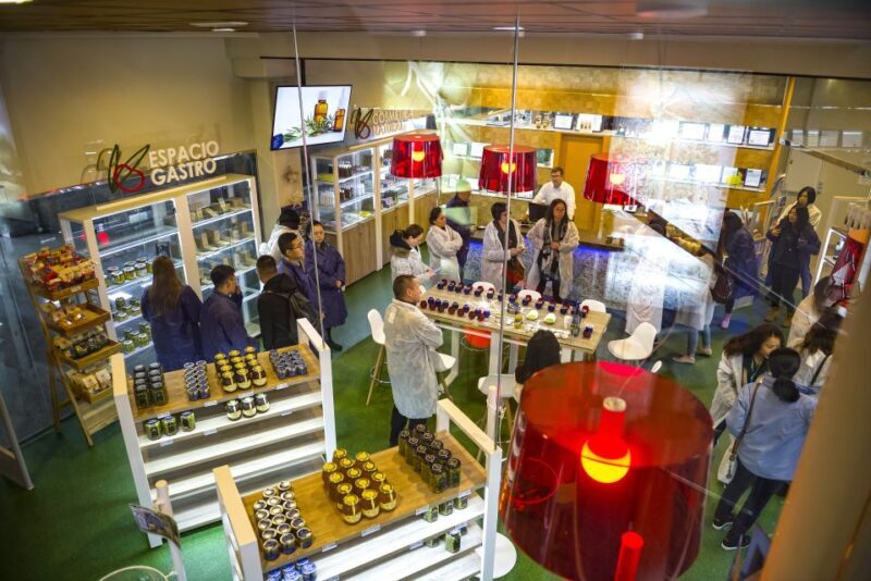Jaén: Olive Mill Tour and Olive Oil Tasting Experience - FAQ