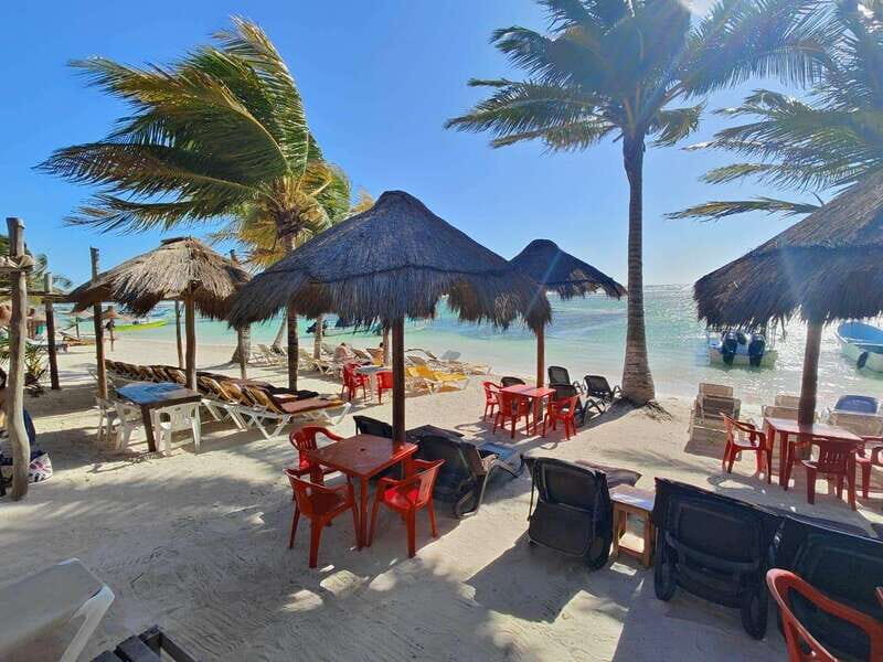 Jaimes at the blue Reef all you can eat + drinks - Who Will Love This Tour?