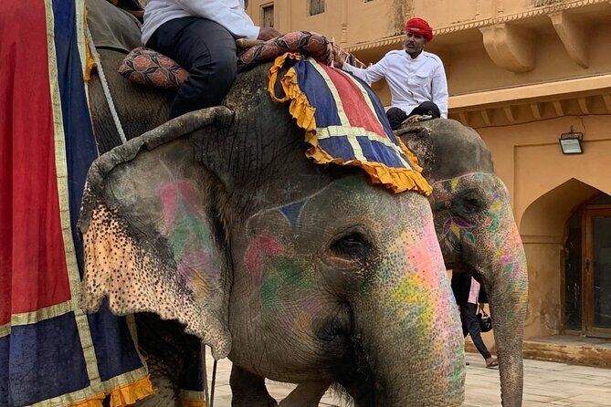 Jaipur Discovery with Guide and driver - Who Will Love This Tour?