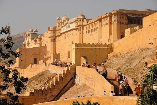 Jaipur Full-Day Private Guided Tour - Who Would Thrive on This Tour?