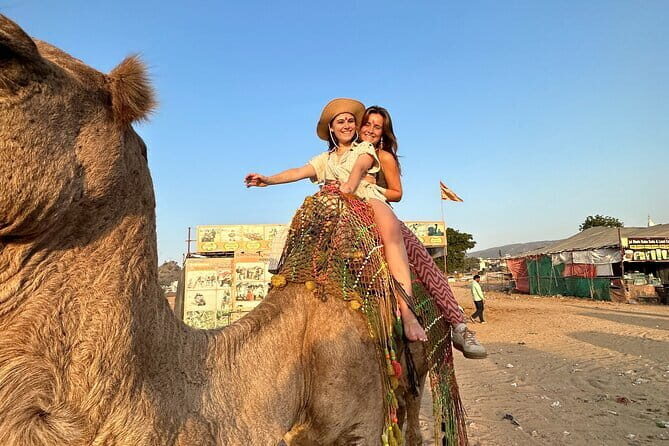 Jaipur Full-Day Sightseeing Tour - What You Can Expect from the Experience