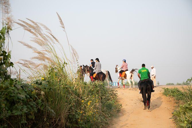 Jaipur Horse Riding Adventure - An In-Depth Look at the Jaipur Horse Riding Adventure
