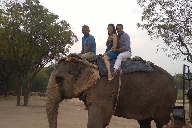 Jaipur Pink City Private Day Trip from Delhi - An In-Depth Look at the Jaipur Day Trip