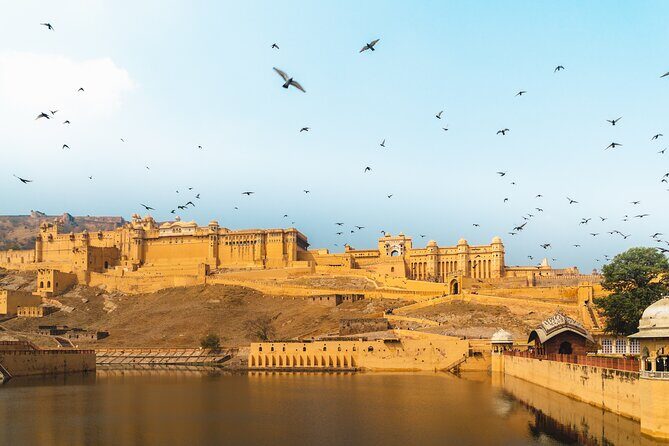 Jaipur Pink City Private Day Trip from Delhi with transfer - What Makes This Tour Stand Out?