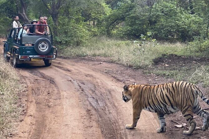 Jaipur Ranthambore Full Day Private Tour - FAQ