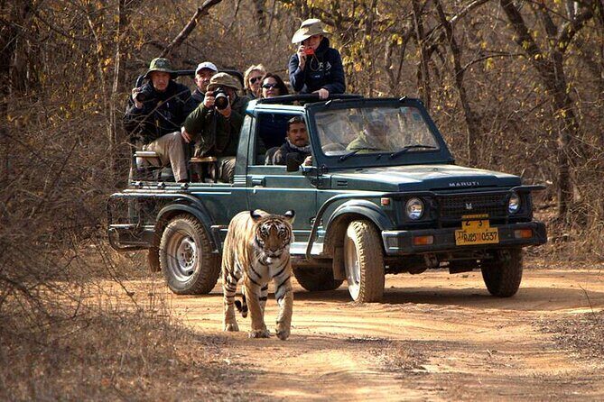 Jaipur to Ranthambore National Park Private One Day Trip - Starting the Journey: From Jaipur to Ranthambore