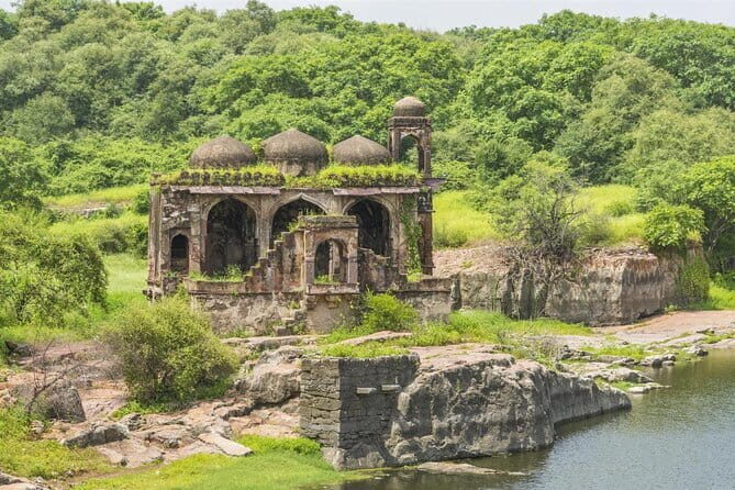 Jaipur to Ranthambore one way drop service - Drop-off Points and Flexibility