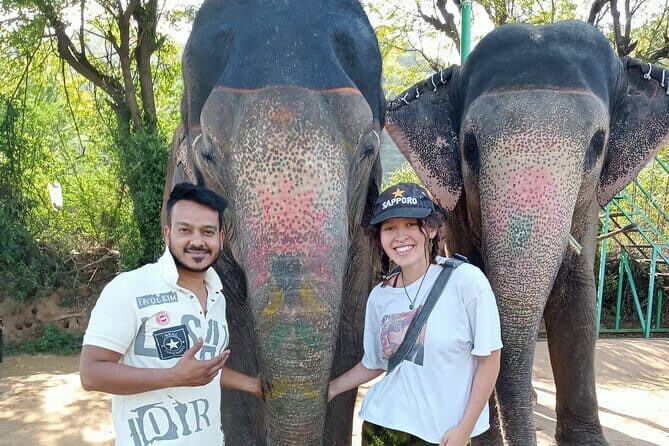 Jaipur Tuktuk Local Sightseeing Day Tour - Detailed Breakdown of the Jaipur Tuk-Tuk Tour