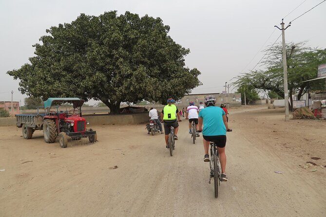 Jaipur Village Cycling Safari - A Deep Dive into the Jaipur Village Cycling Safari