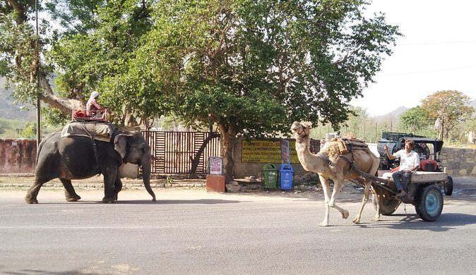 Jaipur Walking Tour - The Sum Up