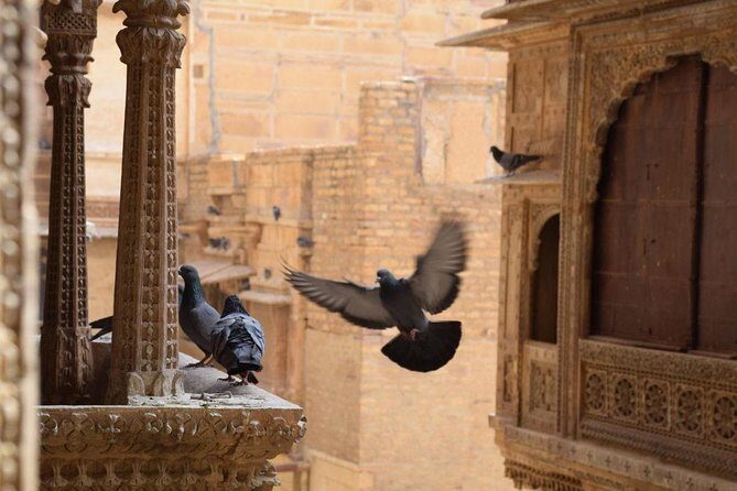 Jaisalmer Tuk-Tuk Private Full Day Tour with Pick-up - The Sum Up