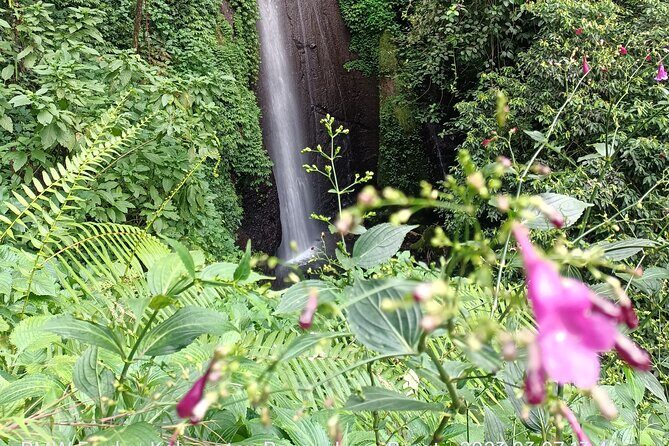Jakarta Bogor Botanical Garden, Waterfall and Rice terrace, Lunch - FAQ