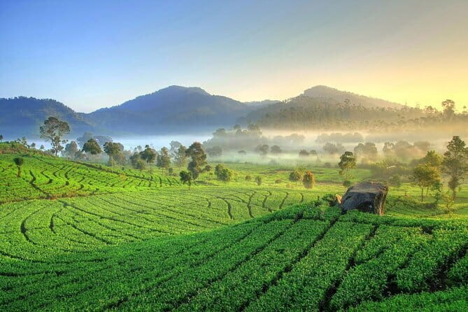 Jakarta Volcano White Crater and Natural Hot Spring in West Java - Key Points