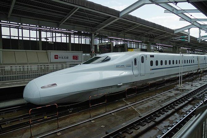 Japan Railway Station Shared Arrival Transfer : Shin Osaka Station to Osaka City - Practical Tips for a Smooth Experience