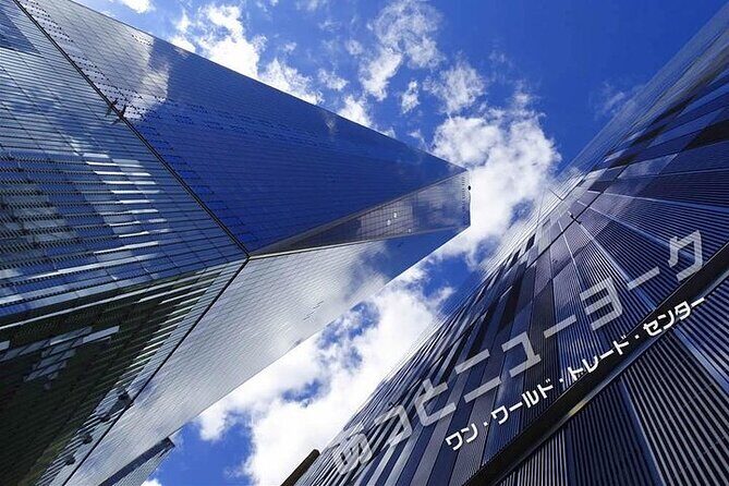 Japanese Tour!! "Museum-Hopping Tour" visiting both Metropolitan museum and MoMA museum with official museum guide. - Who Is This Tour Best For?
