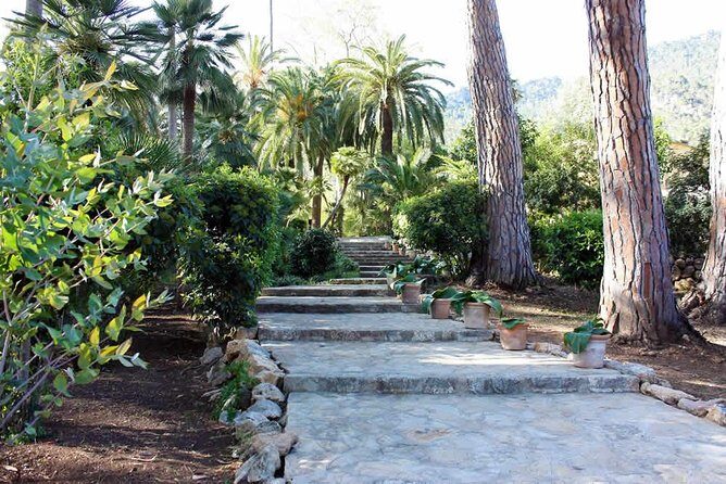 Jardines de Alfabia Tickets - Is Jardines de Alfabia Worth It?