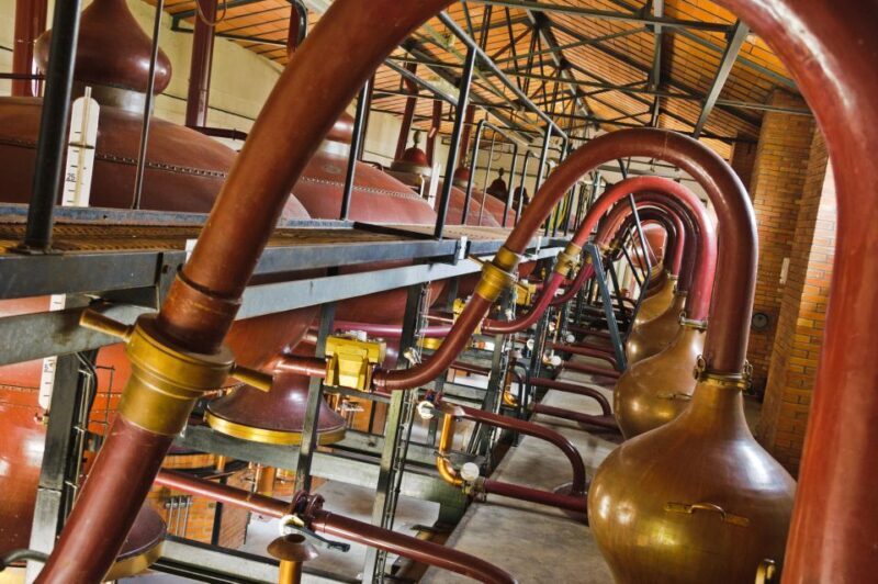 Jarnac: Braastad cognac discovery tour - Who Should Consider This Tour?