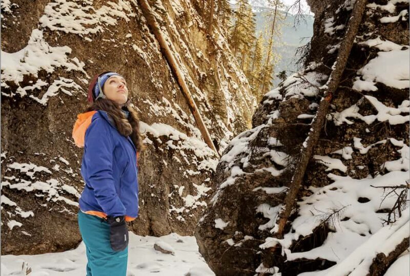 Jasper: Maligne Valley And Pleckatis Canyon Tour - The Experience From Travelers’ Perspectives