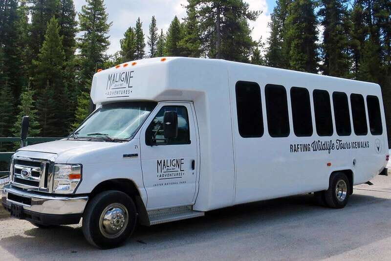 Jasper National Park: Evening or Morning Wildlife Watch Tour - Final Thoughts