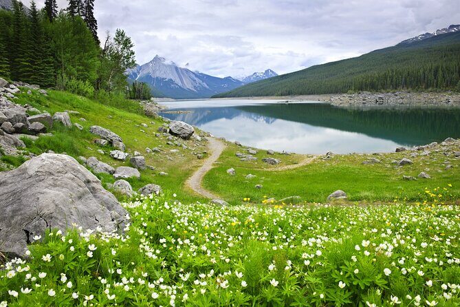 Jasper National Park Self-Guided Driving Audio Tour - Who Is This Tour Best For?