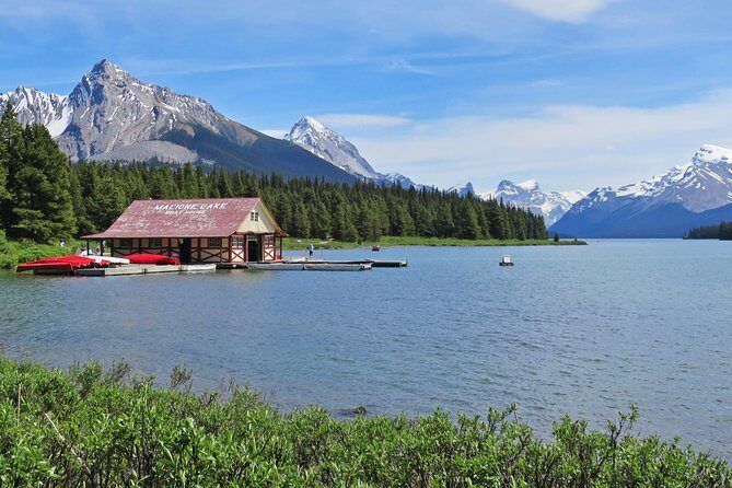 Jasper Wildlife and Waterfalls Tour with Maligne Lake Hike - The Value of This Tour