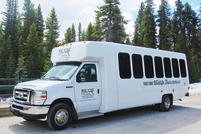Jasper Wildlife and Waterfalls Tour with Maligne Lake Hike - The Sum Up