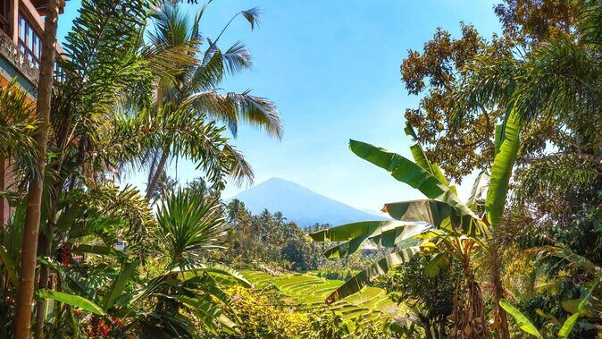 Jatiluwih Batukaru Mountain Nature's Best Tour - Key Points