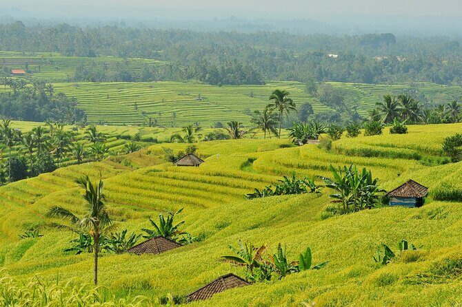 Jatiluwih Batukaru Mountain Nature's Best Tour - FAQ