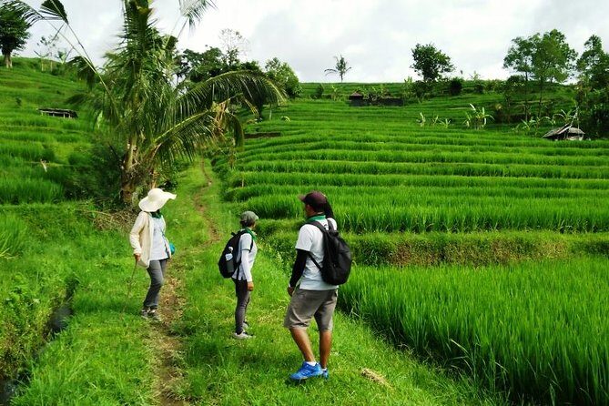 Jatiluwih full day e-bike cycling with lunch & trekking program - Final Thoughts