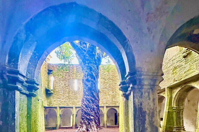 Jaunting Car Tour in Killarney National Park - An Authentic Ride Through Ireland’s Natural Beauty