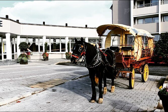 Jaunting Car Tour in Killarney National Park - The Itinerary: What to Expect