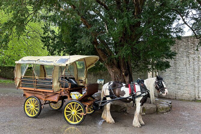 Jaunting Car Tour in Killarney National Park - The Practicalities: Booking, Price, and What You’ll Get